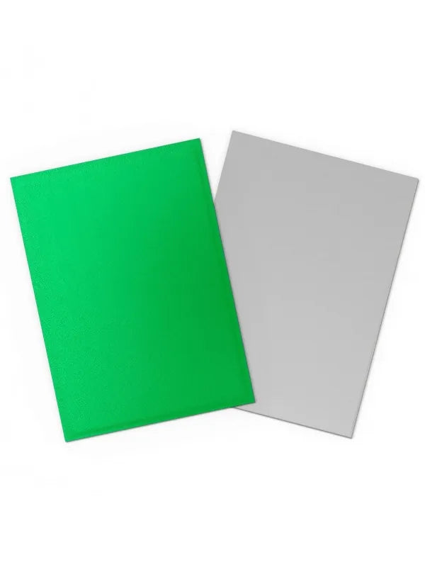 Dragon Shield Sleeves – Standardgröße, dual matt (100 Stück) – Apple Green & Silver